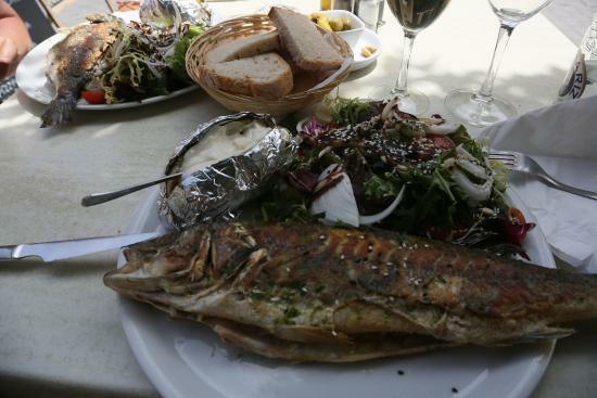 Marisqueria Freiduria Can Bernat