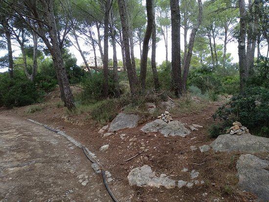 Torre de Cala en Basset