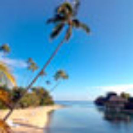 Gandhi Indian Tandoori Restaurant