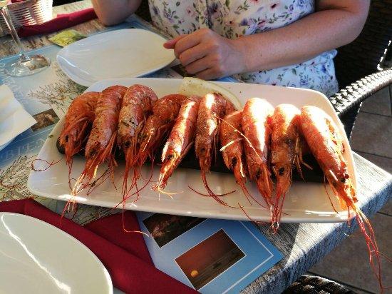 Bar Restaurant Grill Can Pedro