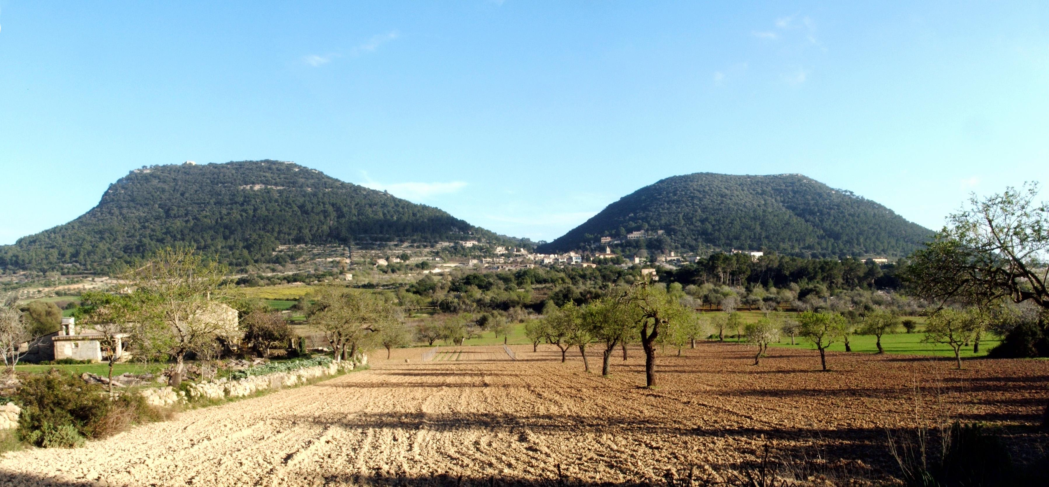 Puig de Randa