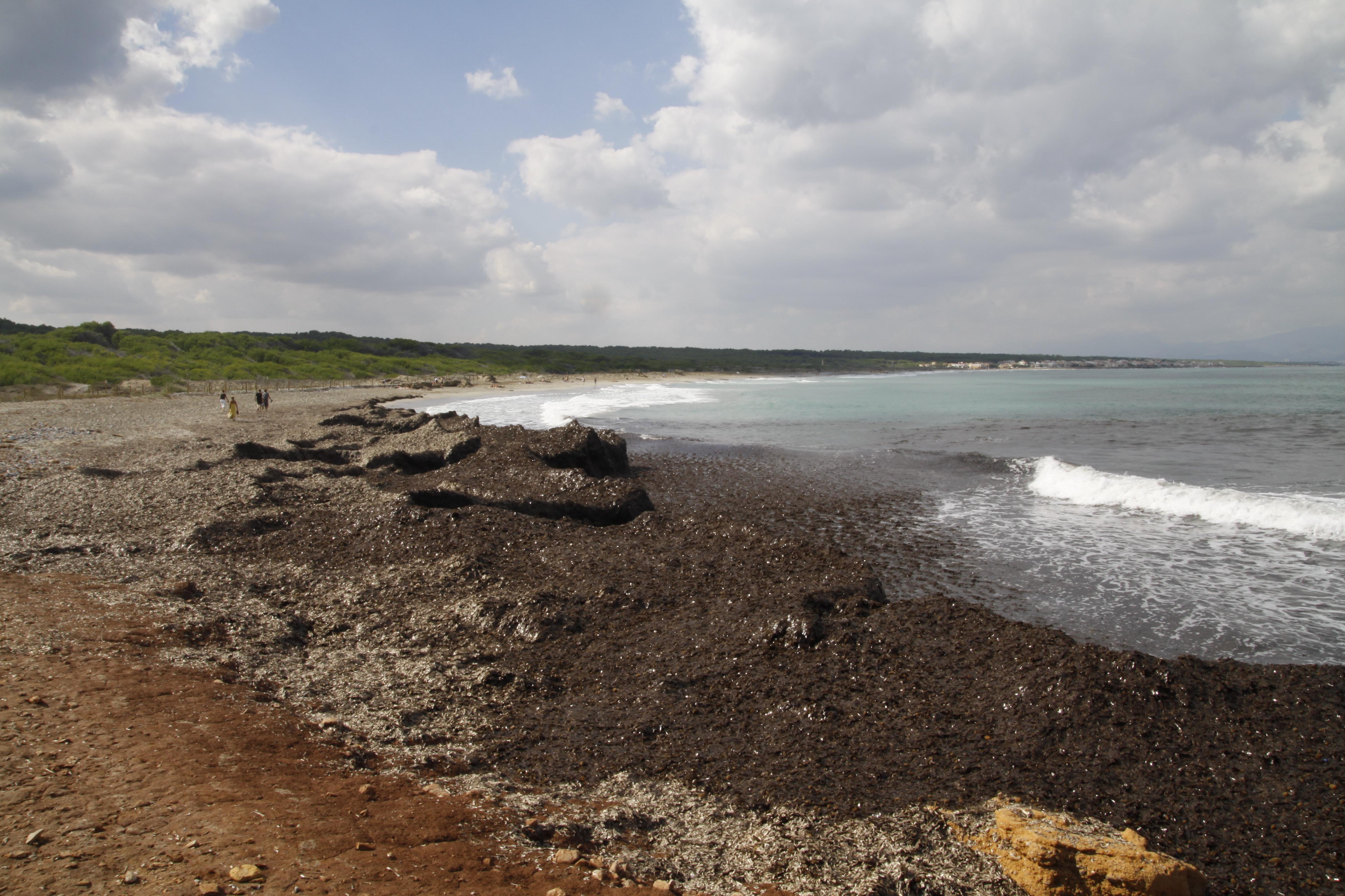 S'Arenal de Sa Canova