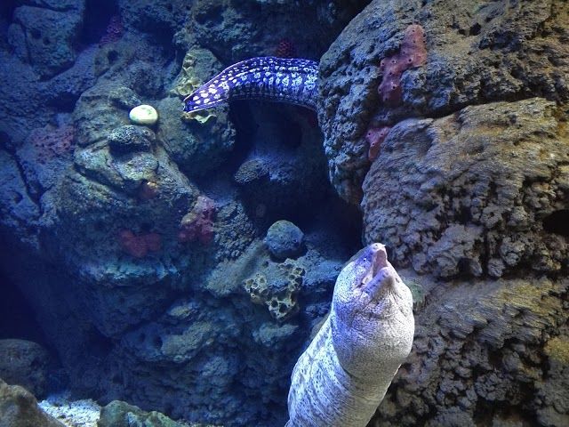 Besucherzentrum Nationalpark Cabrera