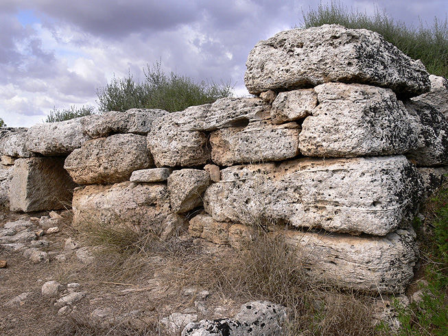 Talaiot de sa Cova de sa Nineta